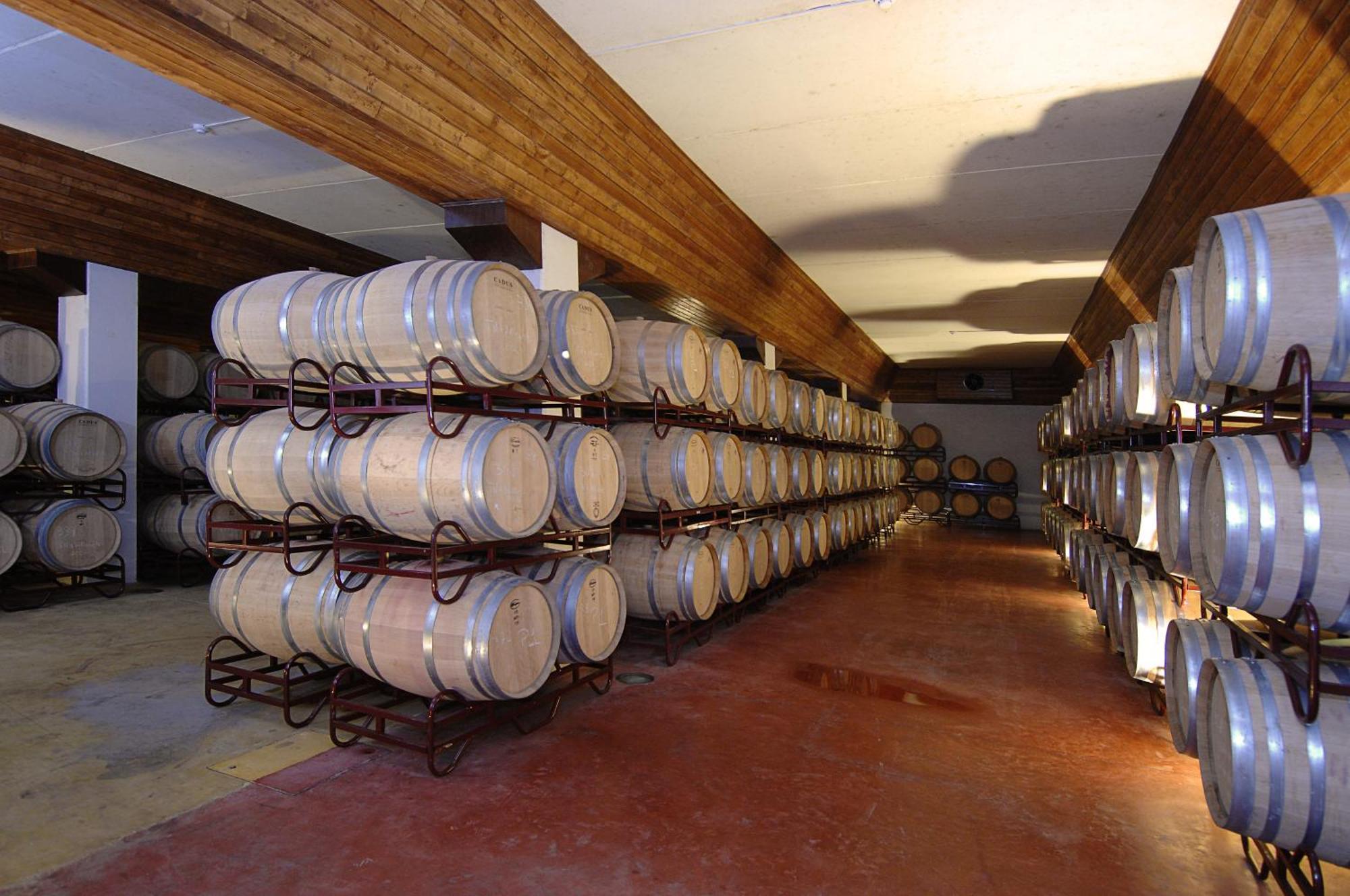 Vila Gale Alentejo Vineyard - Clube De Campo Albernoa Bagian luar foto
