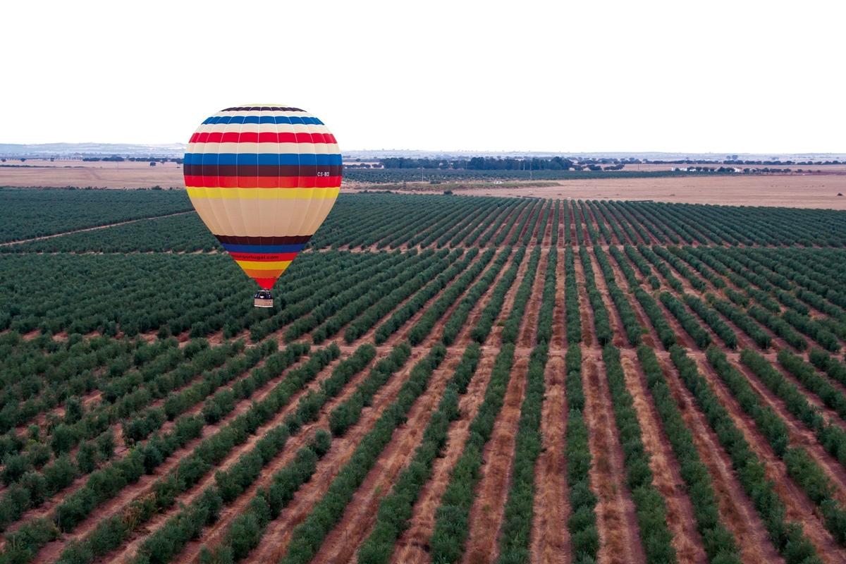 Vila Gale Alentejo Vineyard - Clube De Campo Albernoa Bagian luar foto