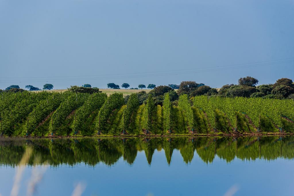 Vila Gale Alentejo Vineyard - Clube De Campo Albernoa Bagian luar foto